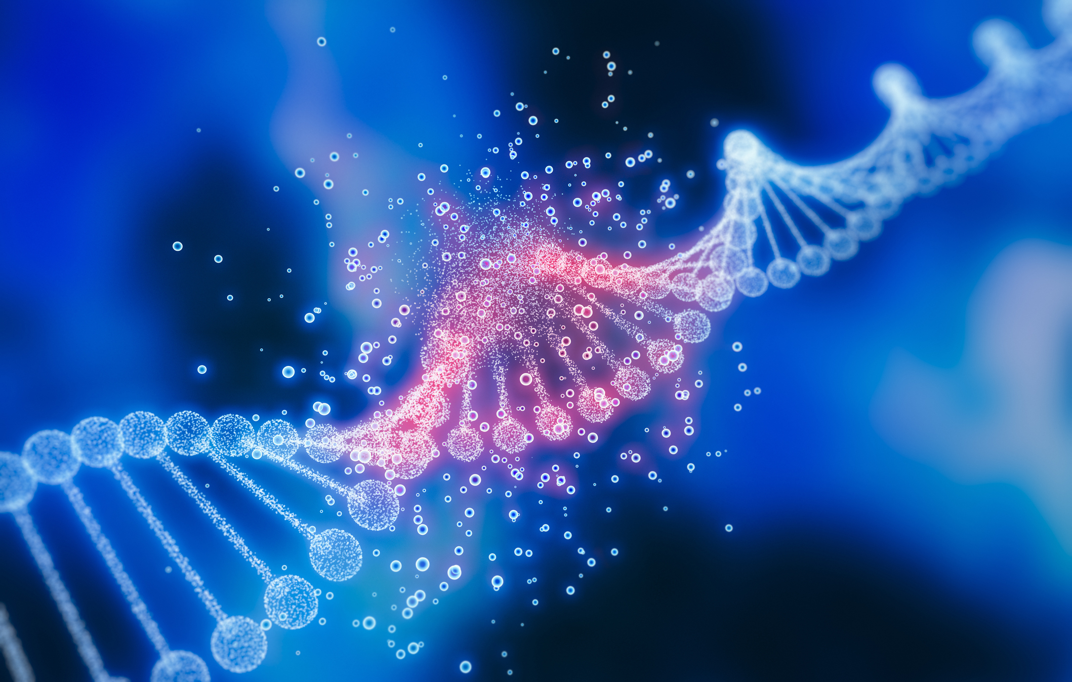 DNA of Fitzrovia